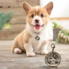 Custom zinc alloy pet dog tag pet placa de identificación 3D embossado bronce antiguo ID pet id tag de perro grabable Application Scenario